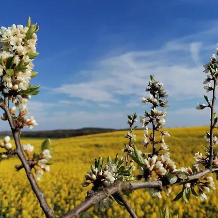 Apartamento Am Schloonsee Haus B Heringsdorf (Usedom)