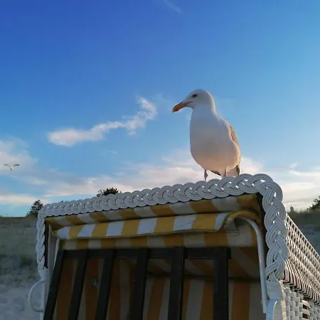 Am Schloonsee Haus B * Heringsdorf (Usedom)